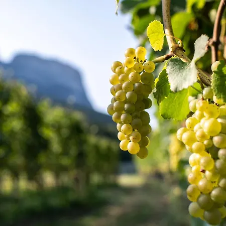 Schmitte Am Sonnenwirtsplatz: Eppan's Hiking And Cycling Haven Apartment Appiano Sulla Strada Del Vino