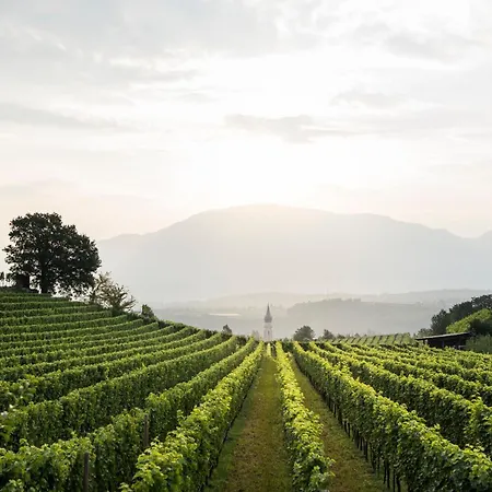 Apartment Schmitte Am Sonnenwirtsplatz: Eppan's Hiking And Cycling Haven Appiano Sulla Strada Del Vino